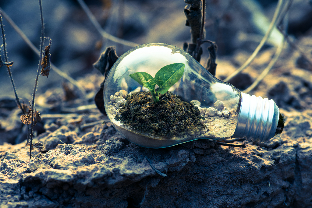 Sistemas fotovoltaicos para Irrigação Solar.